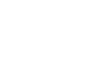 commercial auto icon